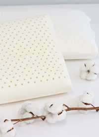 이미지를 찾을 수 없습니다.