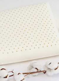 이미지를 찾을 수 없습니다.