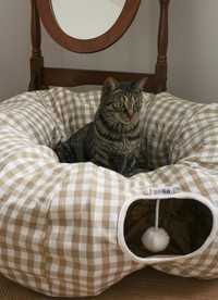 이미지를 찾을 수 없습니다.