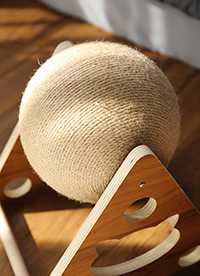 이미지를 찾을 수 없습니다.