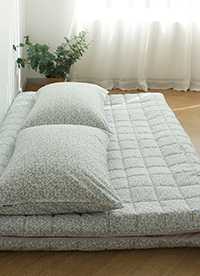 이미지를 찾을 수 없습니다.