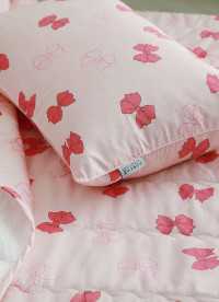 이미지를 찾을 수 없습니다.