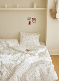 이미지를 찾을 수 없습니다.