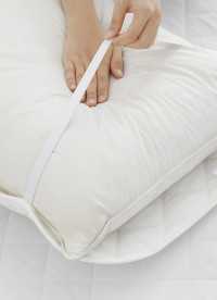 이미지를 찾을 수 없습니다.