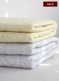 이미지를 찾을 수 없습니다.