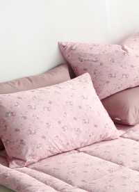 이미지를 찾을 수 없습니다.