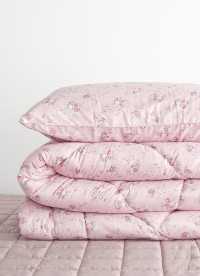 이미지를 찾을 수 없습니다.