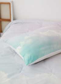 이미지를 찾을 수 없습니다.