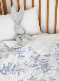 이미지를 찾을 수 없습니다.