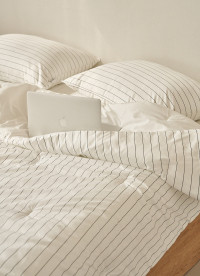 이미지를 찾을 수 없습니다.