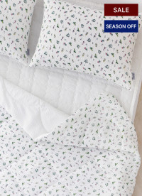 이미지를 찾을 수 없습니다.