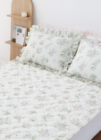 이미지를 찾을 수 없습니다.