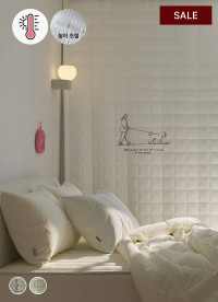 이미지를 찾을 수 없습니다.