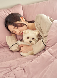 이미지를 찾을 수 없습니다.