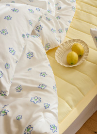 이미지를 찾을 수 없습니다.