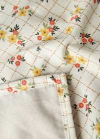 이미지를 찾을 수 없습니다.