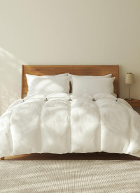 이미지를 찾을 수 없습니다.