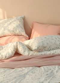 이미지를 찾을 수 없습니다.