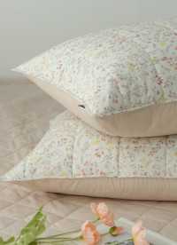 이미지를 찾을 수 없습니다.