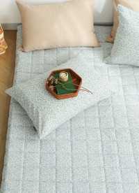 이미지를 찾을 수 없습니다.