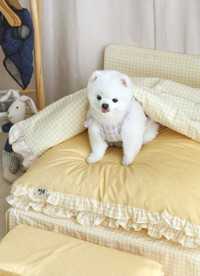 이미지를 찾을 수 없습니다.