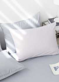 이미지를 찾을 수 없습니다.