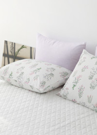 이미지를 찾을 수 없습니다.