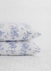 이미지를 찾을 수 없습니다.