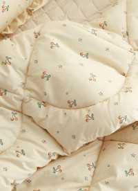 이미지를 찾을 수 없습니다.