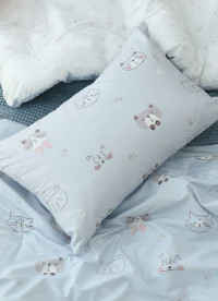 이미지를 찾을 수 없습니다.