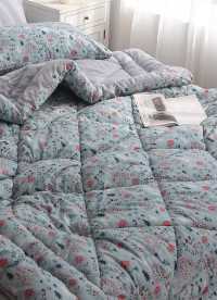 이미지를 찾을 수 없습니다.