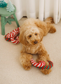 이미지를 찾을 수 없습니다.