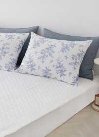 이미지를 찾을 수 없습니다.