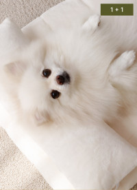 이미지를 찾을 수 없습니다.