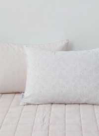 이미지를 찾을 수 없습니다.