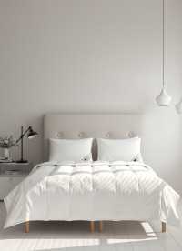 이미지를 찾을 수 없습니다.