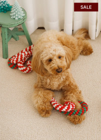 이미지를 찾을 수 없습니다.