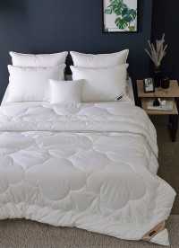 이미지를 찾을 수 없습니다.