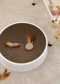 이미지를 찾을 수 없습니다.