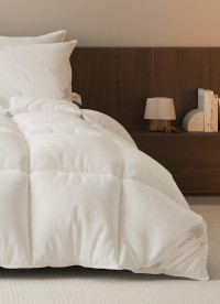 이미지를 찾을 수 없습니다.