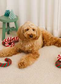 이미지를 찾을 수 없습니다.