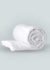 이미지를 찾을 수 없습니다.