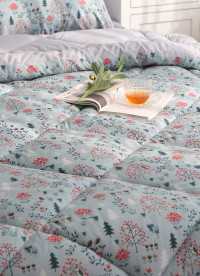 이미지를 찾을 수 없습니다.