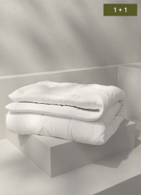 이미지를 찾을 수 없습니다.