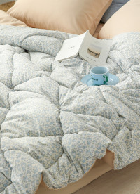 이미지를 찾을 수 없습니다.