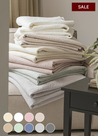 이미지를 찾을 수 없습니다.