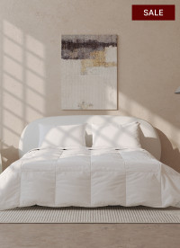 이미지를 찾을 수 없습니다.