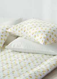 이미지를 찾을 수 없습니다.