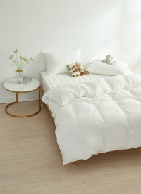 이미지를 찾을 수 없습니다.