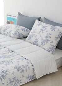 이미지를 찾을 수 없습니다.